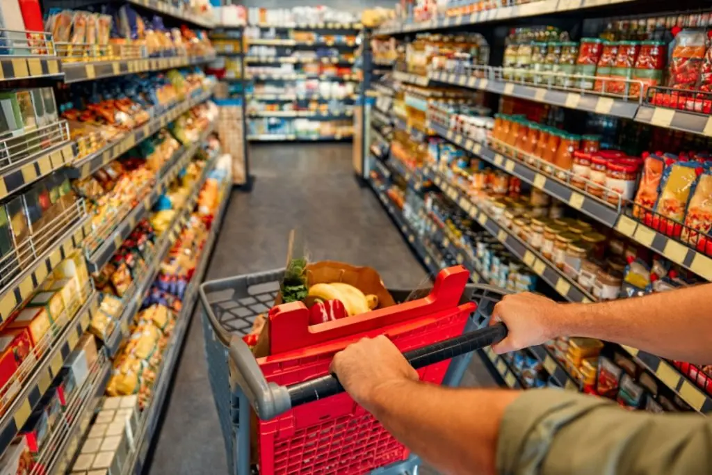 cart with hands in the grocery store