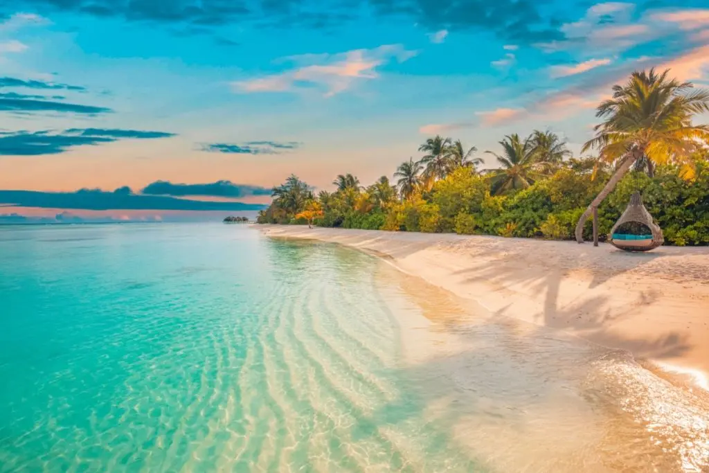 island beach with blue water, white sand, trees and a swing on the palm