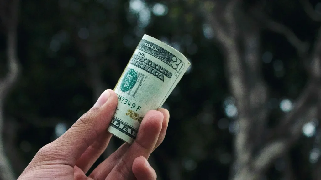 hand holding the dollars